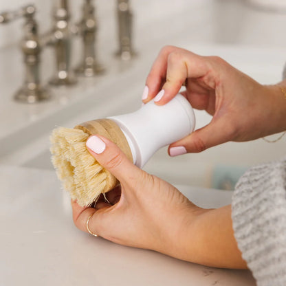 Dish Stick Brush Refill, 5pk - Nellie's