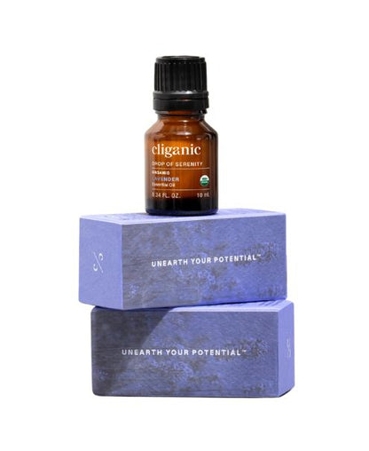 Organic Lavender Oil, 10ml - Cliganic