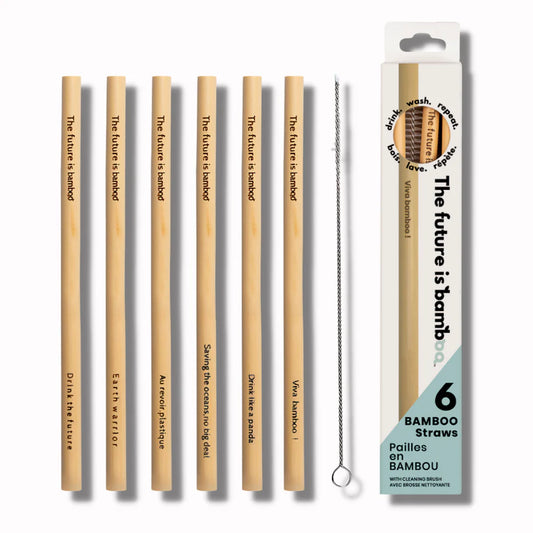 Bamboo Straws 6/Pk - The Future Is Bamboo