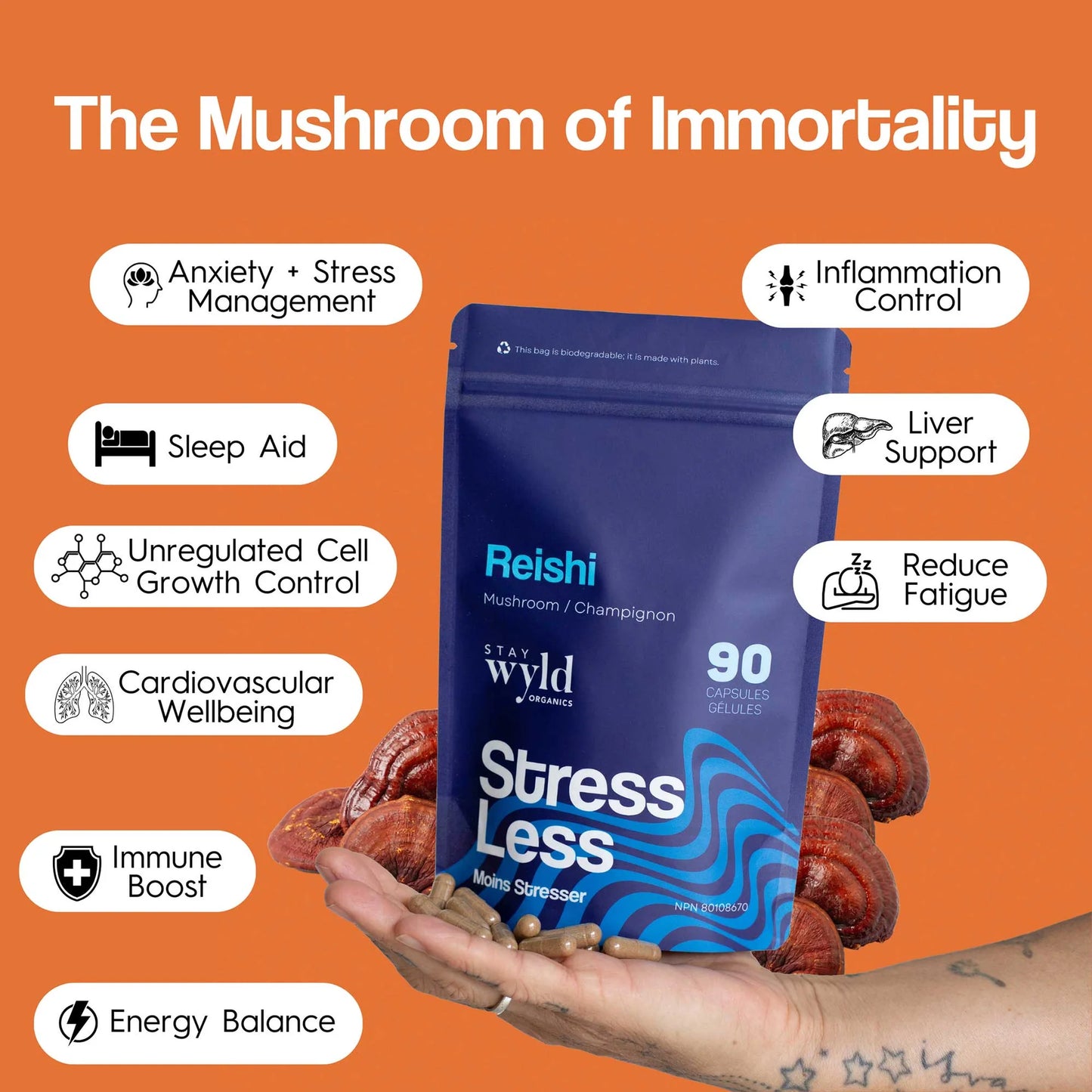 Reishi, 90 caps - Stay Wyld Organics Ltd