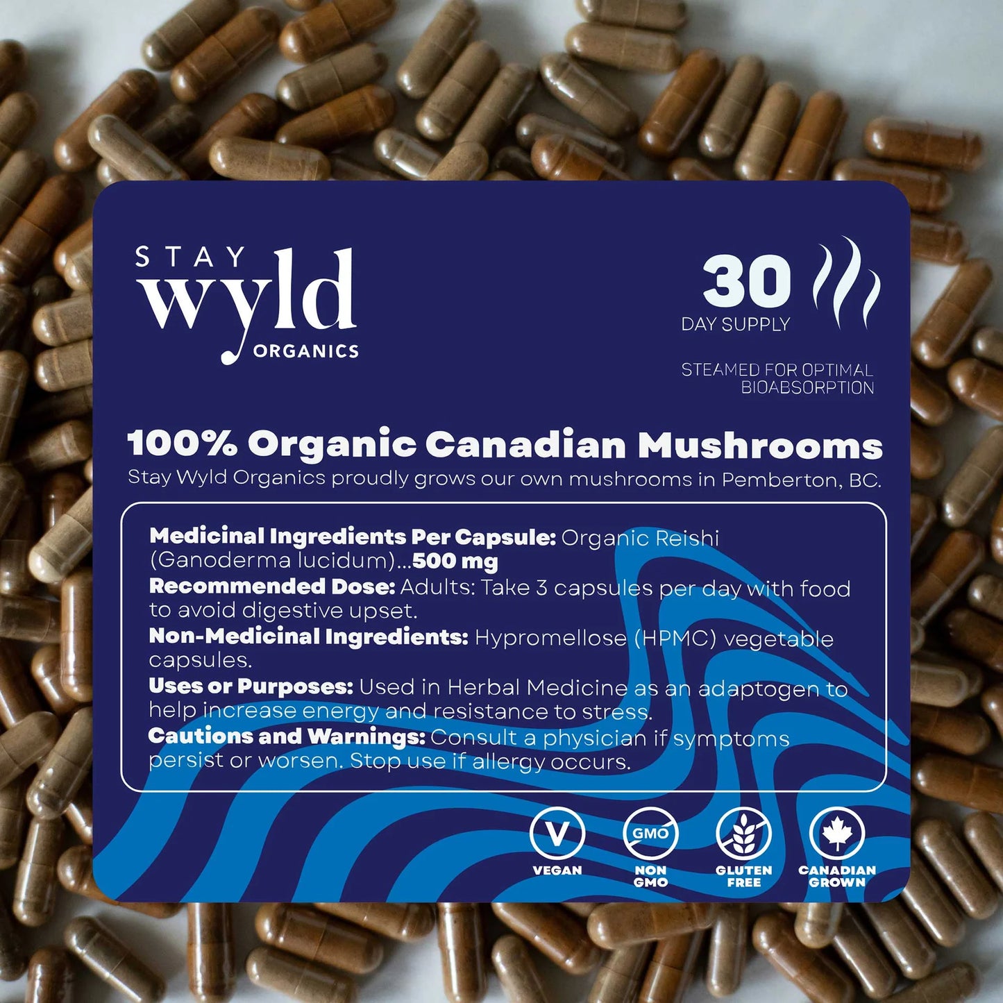 Reishi, 90 caps - Stay Wyld Organics Ltd