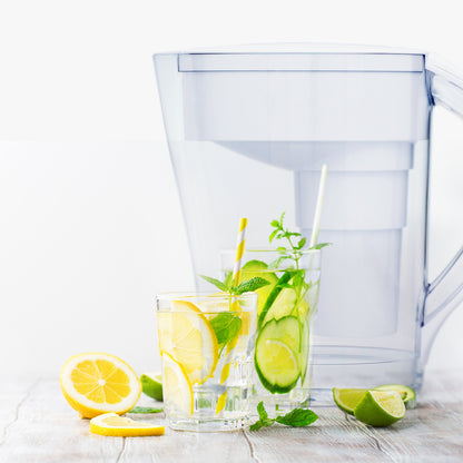 MINA Pitcher White - Santevia Systems