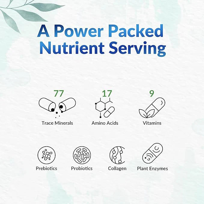 Shilajit W/Humic-Fulvic Acid Complex, 60s - LeafSource