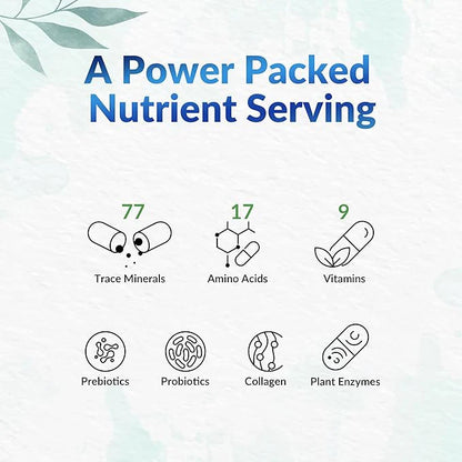 Shilajit W/Humic-Fulvic Acid Complex, 60s - LeafSource