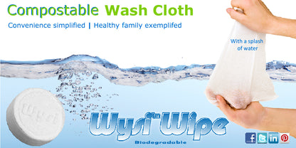 Wipes Consumer Pack, 100/Pkg - Wysiwipes