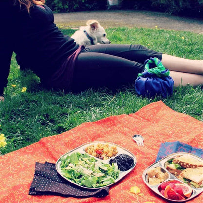 Ecolunchtray - Eco-Lunch