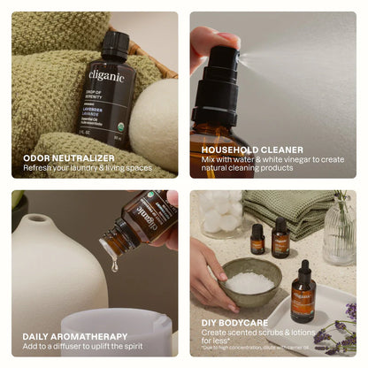 Organic Lemongrass Oil, 30ml - Cliganic