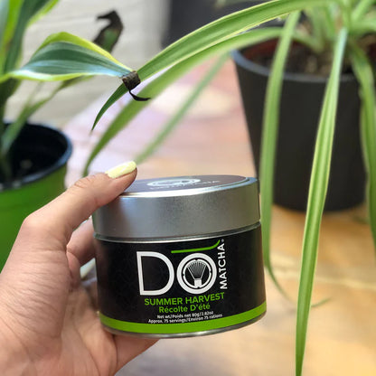 Boîte de récolte d'été, 80 gr - DoMatcha